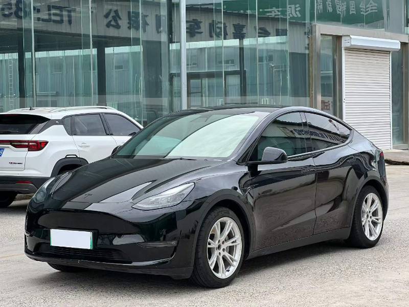 Tesla Model Y 2022 Tesla Model Y 2022 car image