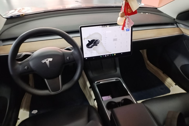 Tesla Model 3 2022 #10 Tesla Model 3 2022 car image #10