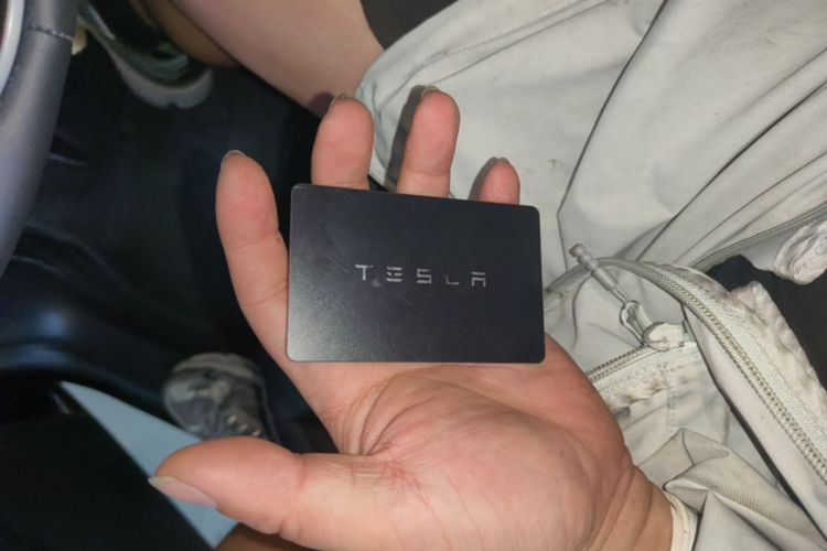 Tesla Model Y 2023 car image #9