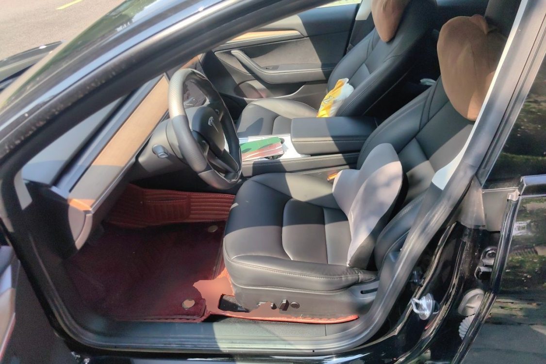 Tesla Model 3 2021 imagem de carro #18