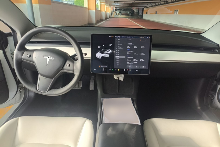 Tesla Model 3 2021 car image #10