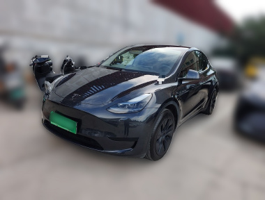 Tesla Model Y 2024 car image 