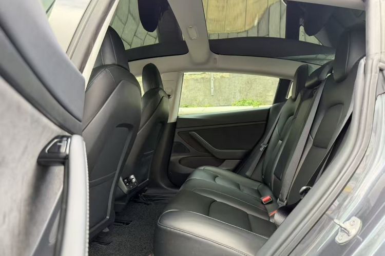 Tesla Model 3 2020 car image #11