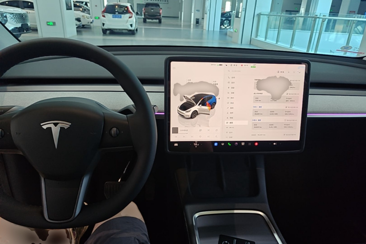 Tesla Model Y 2024 #10 Tesla Model Y 2024 car image #10