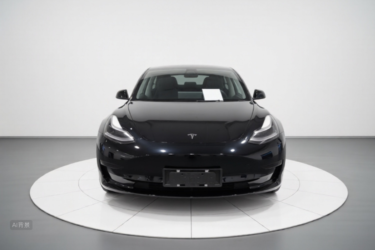 Tesla Model 3 2023 car image #3