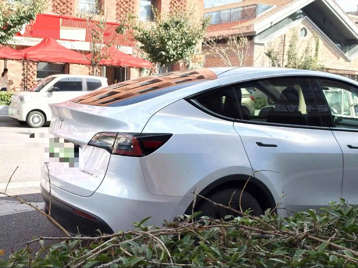 Tesla Model Y 2022 #10 Tesla Model Y 2022 image de voiture #10