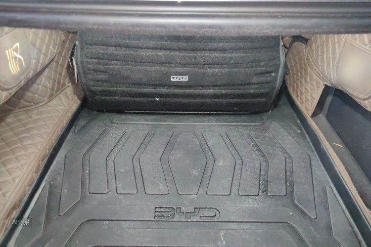 BYD Han 2023 car image #21