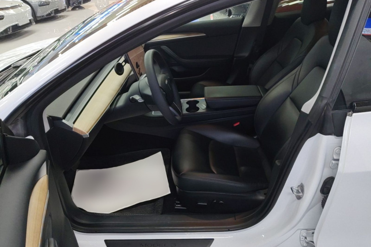 Tesla Model 3 2022 immagine di auto #15