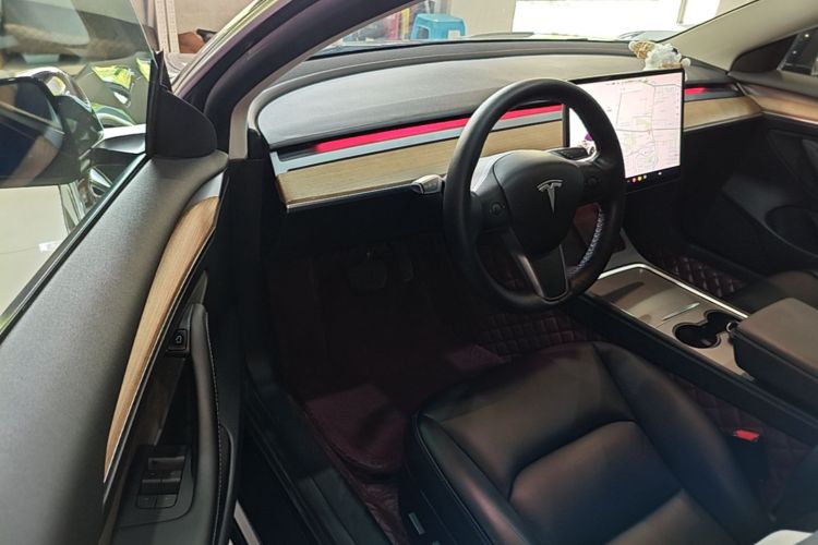 Tesla Model 3 2021 imagem de carro #14