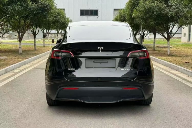 Tesla Model Y 2023 #6 Tesla Model Y 2023 car image #6
