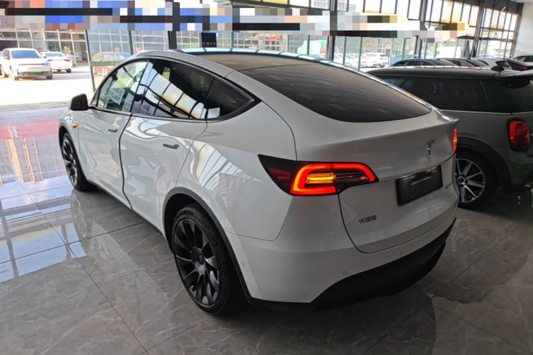 Tesla Model Y 2023 #5 Tesla Model Y 2023 car image #5