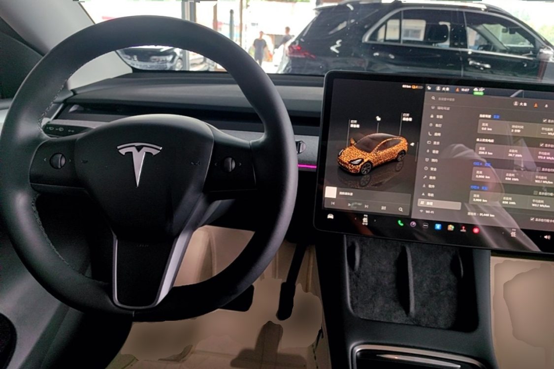 Tesla Model Y 2023 car image #15