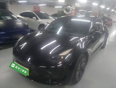 Tesla Model 3 2022 Tesla Model 3 2022 car image