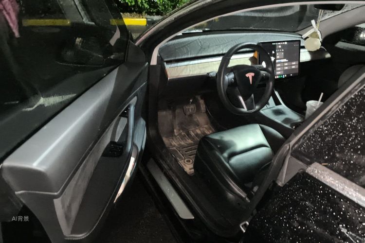 Tesla Model 3 2020 car image #18