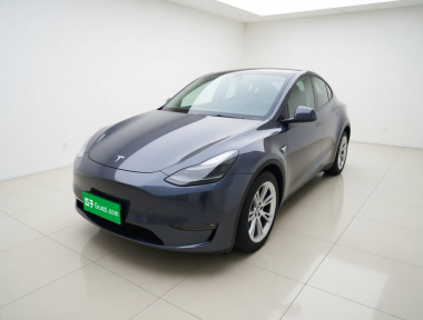 Tesla Model Y 2021 Tesla Model Y 2021 car image