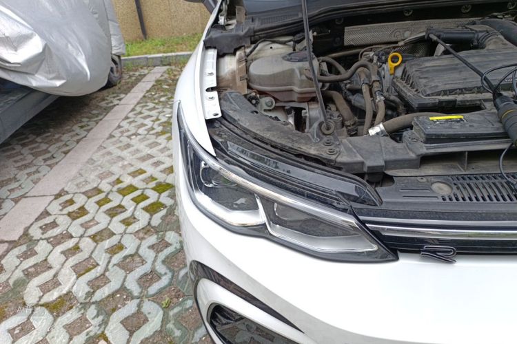 Volkswagen Golf 2021 #8 Volkswagen Golf 2021 car image #8