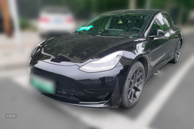 Tesla Model 3 2020 car image #2