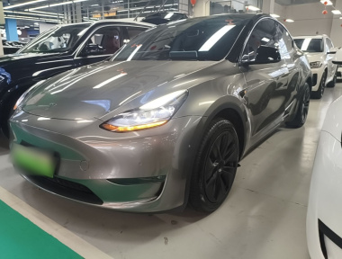 Tesla Model Y 2024 car image 