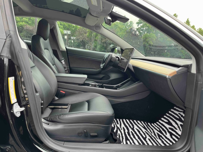 Tesla Model 3 2020 car image #4