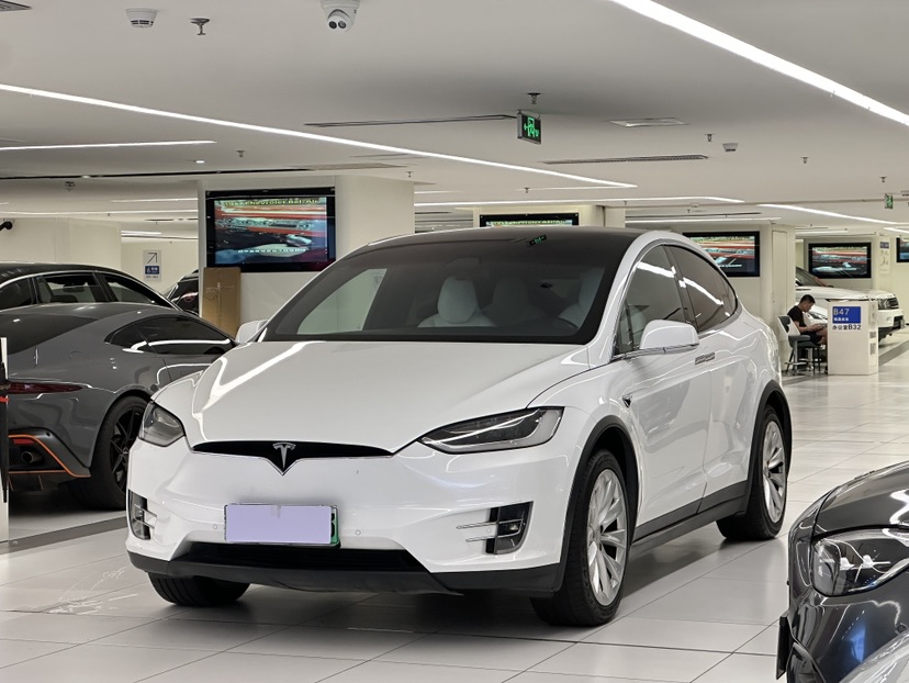 Tesla Model X 2017 car image 