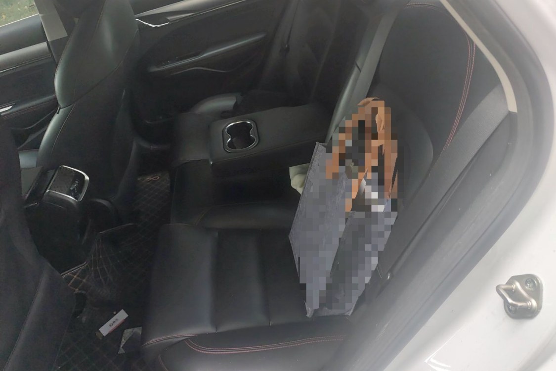 GEELY Binray 2020 #19 GEELY Binray 2020 car image #19