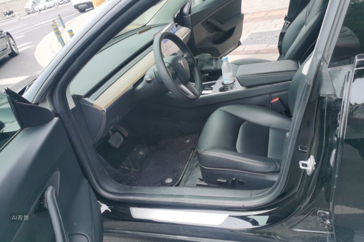 Tesla Model 3 2020 car image #17