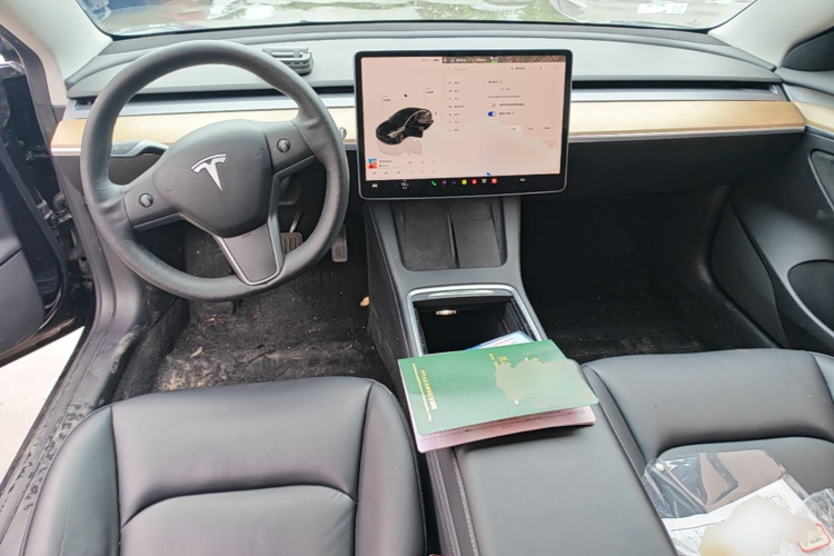 Tesla Model 3 2022 car image #10