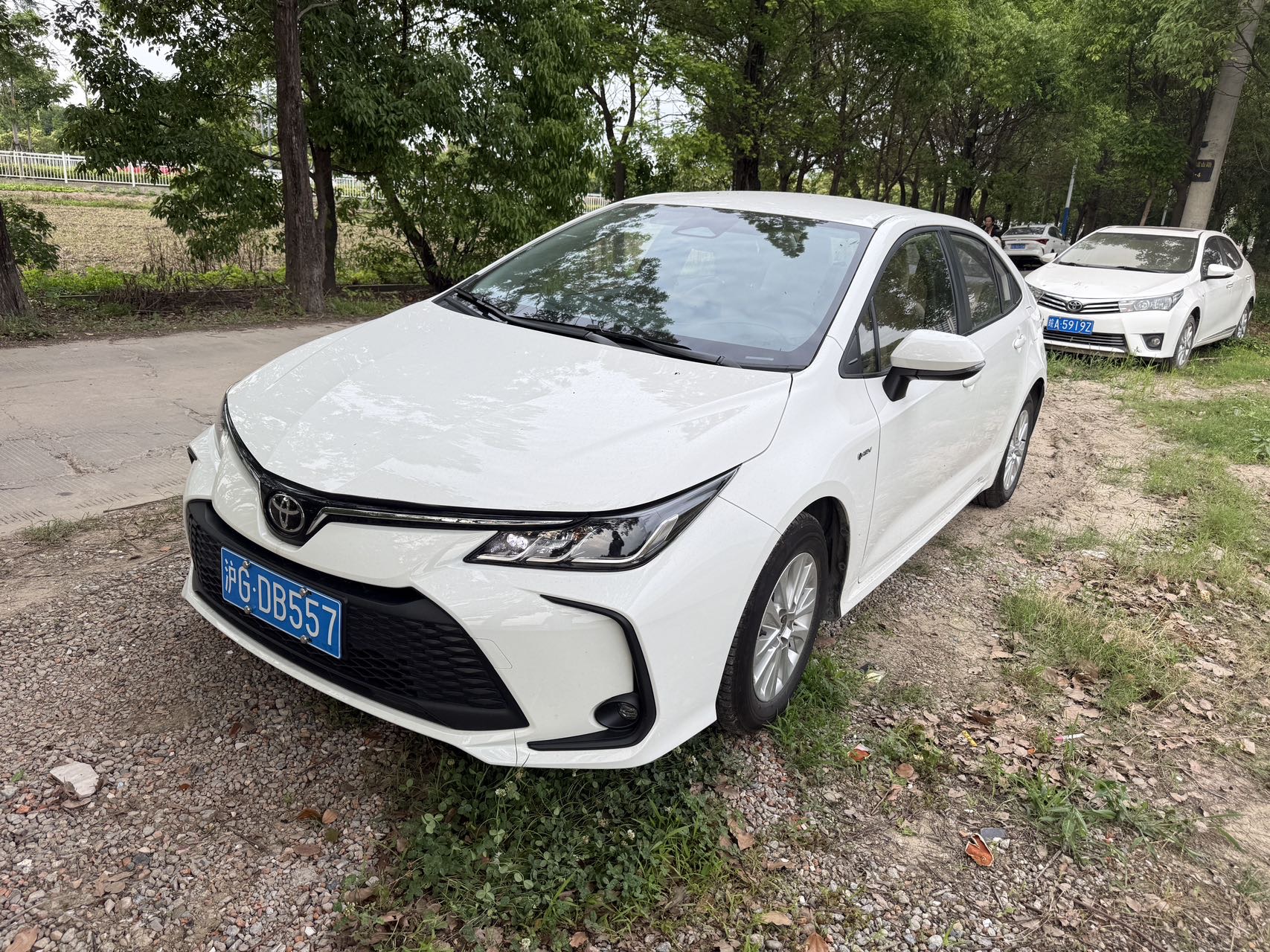 Toyota Corolla 2025 Toyota Corolla 2025 car image