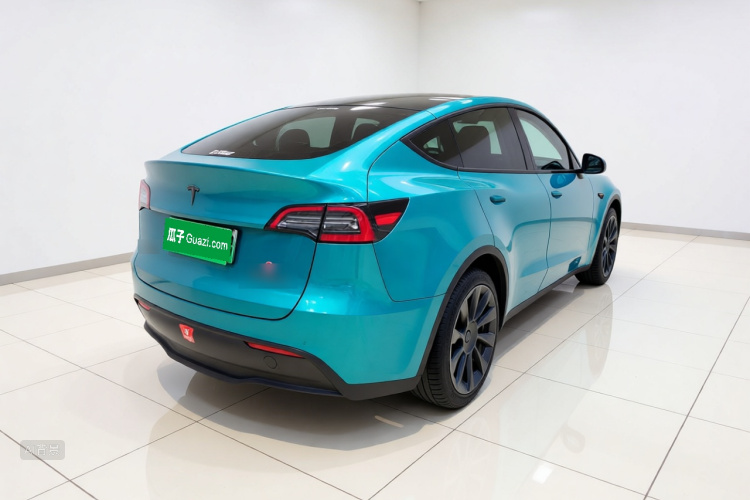 Tesla Model Y 2021 car image #7