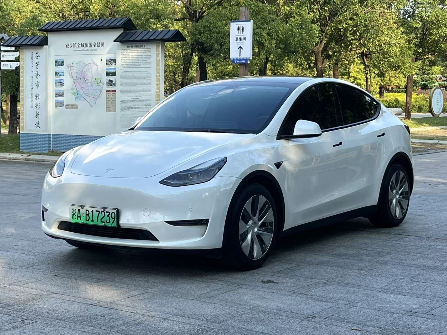Tesla Model Y 2021 Tesla Model Y 2021 car image