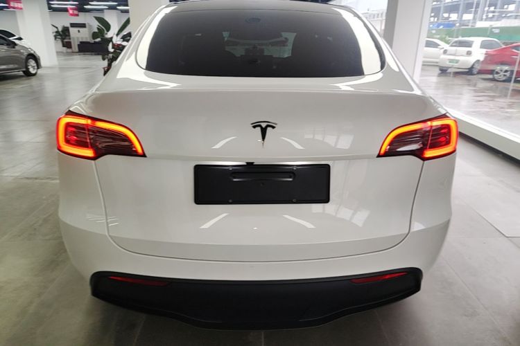 Tesla Model Y 2024 #6 Tesla Model Y 2024 car image #6