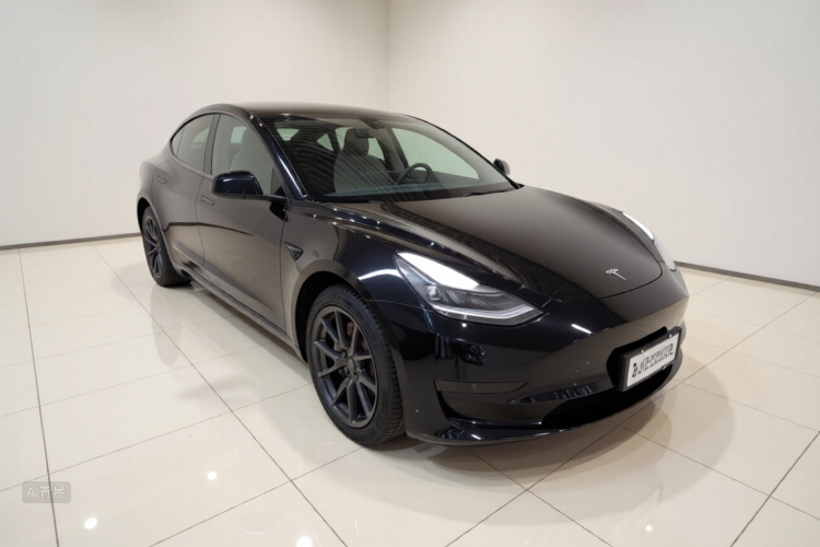Tesla Model 3 2021 car image #4