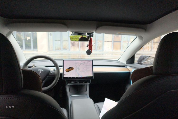 Tesla Model 3 2021 car image #20