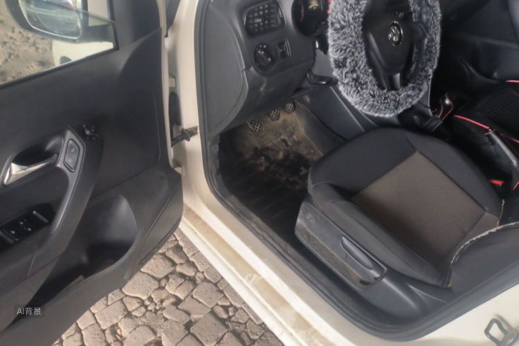 Volkswagen Polo 2015 car image #18
