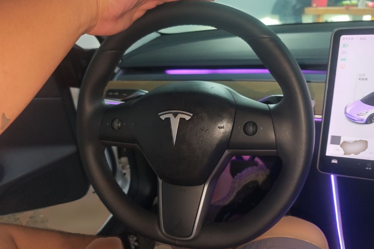 Tesla Model 3 2020 #15 Tesla Model 3 2020 car image #15