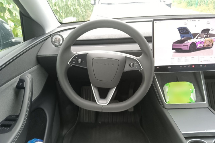 Tesla Model Y 2025 car image #11