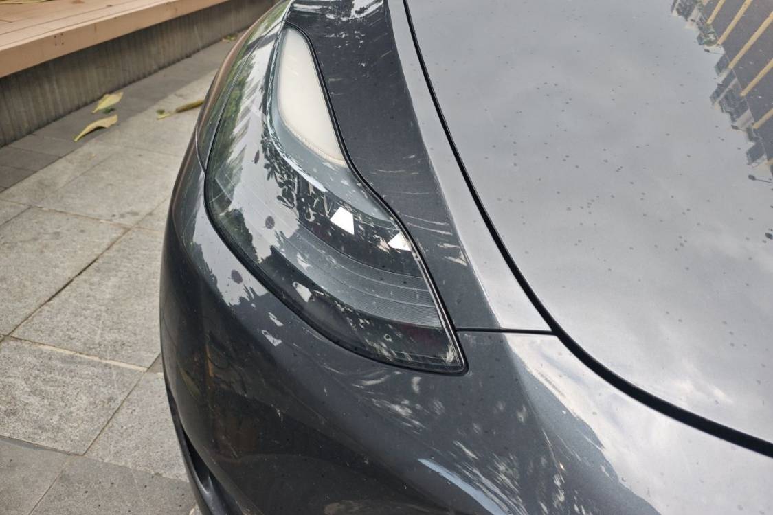 Tesla Model Y 2024 car image #7