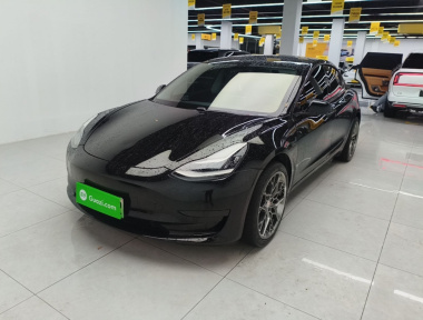 Tesla Model 3 2020 Tesla Model 3 2020 car image