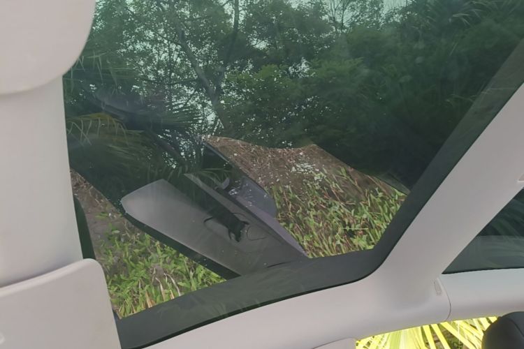 Tesla Model 3 2022 car image #18