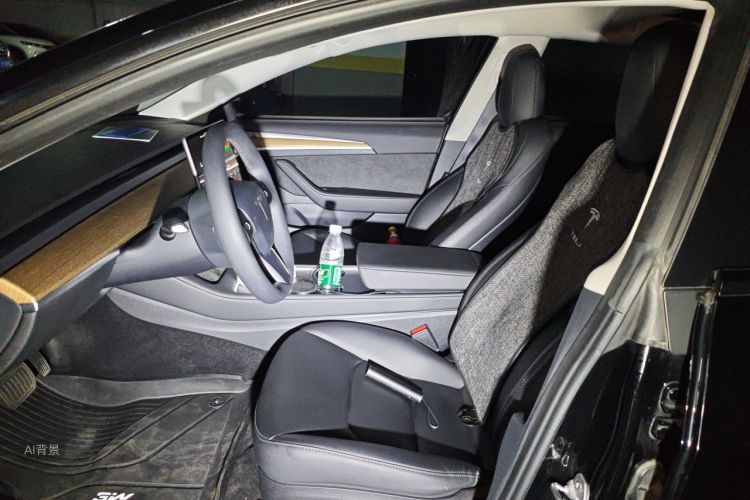 Tesla Model 3 2021 #17 Tesla Model 3 2021 car image #17