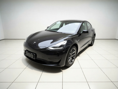 Tesla Model 3 2021 car image 