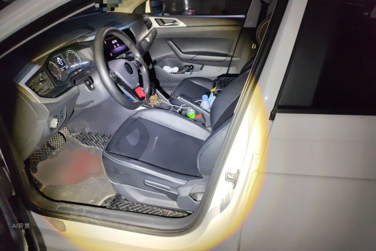 Volkswagen Polo 2022 car image #17