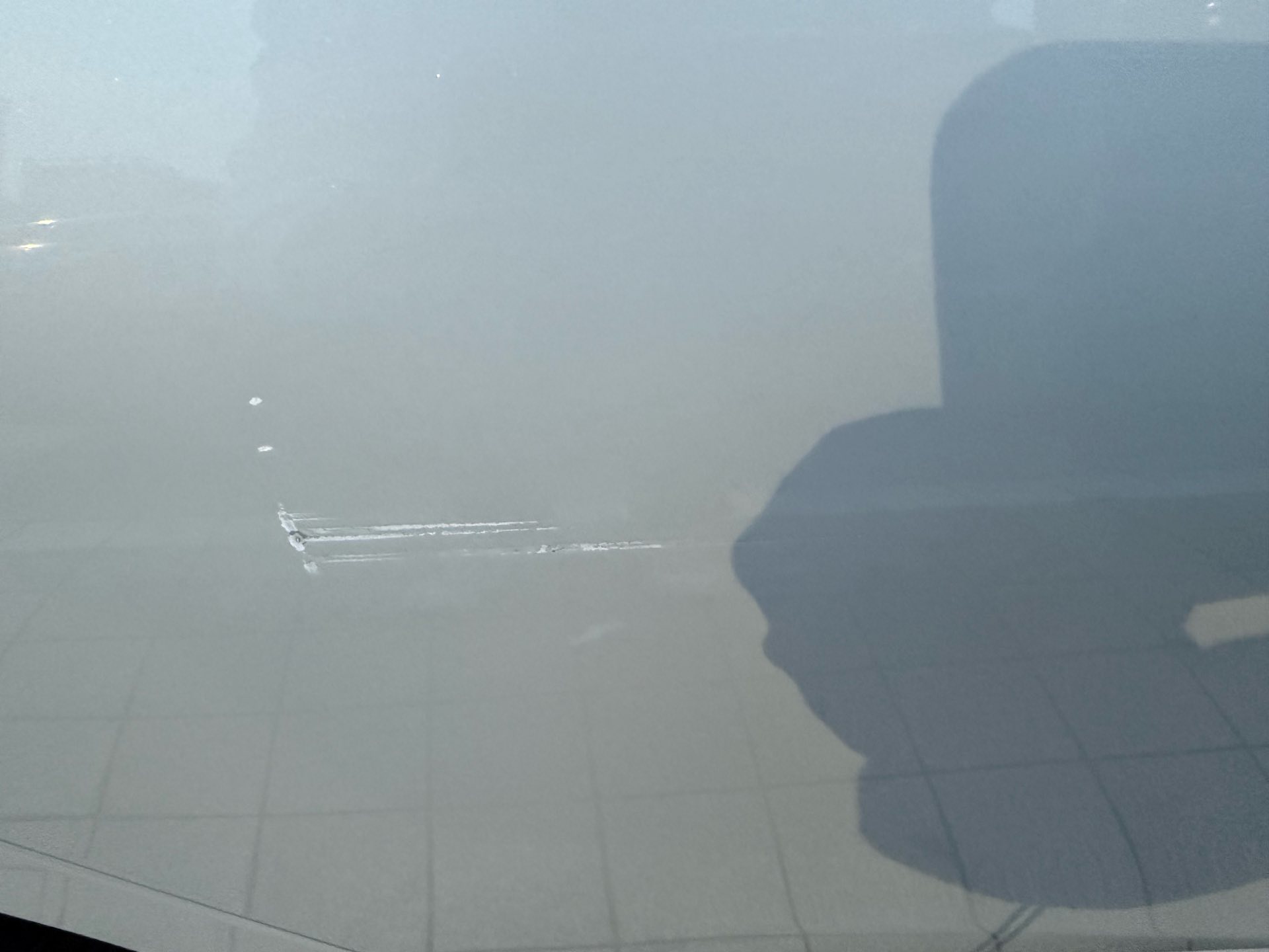 BMW 3 Series 2021 car image #10