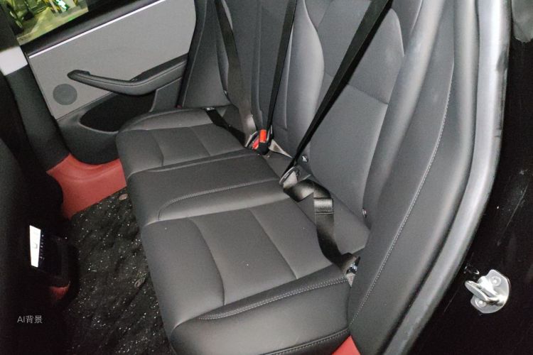 Tesla Model 3 2025 car image #19