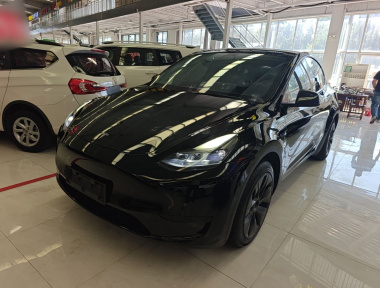 Tesla Model Y 2023 Tesla Model Y 2023 immagine di auto