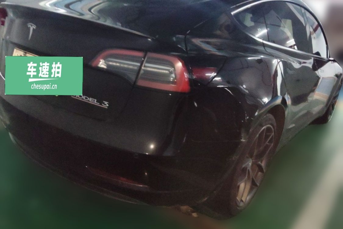 Tesla Model 3 2021 immagine di auto #4