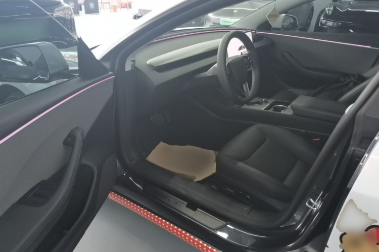 Tesla Model 3 2024 car image #12