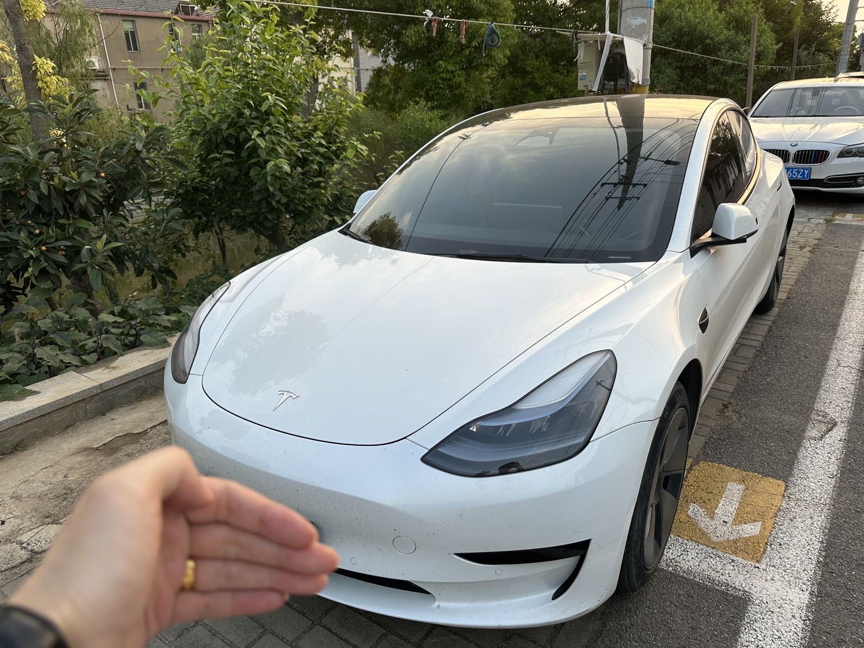 Tesla Model 3 2023 car image 