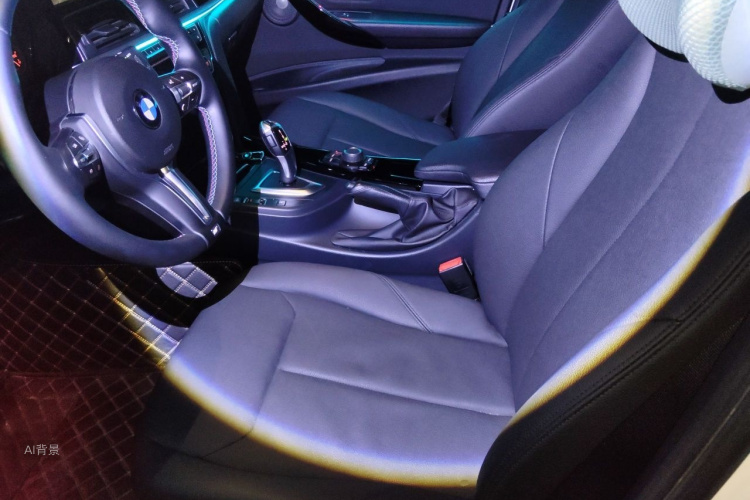 BMW 3 Series 2017 car image #17