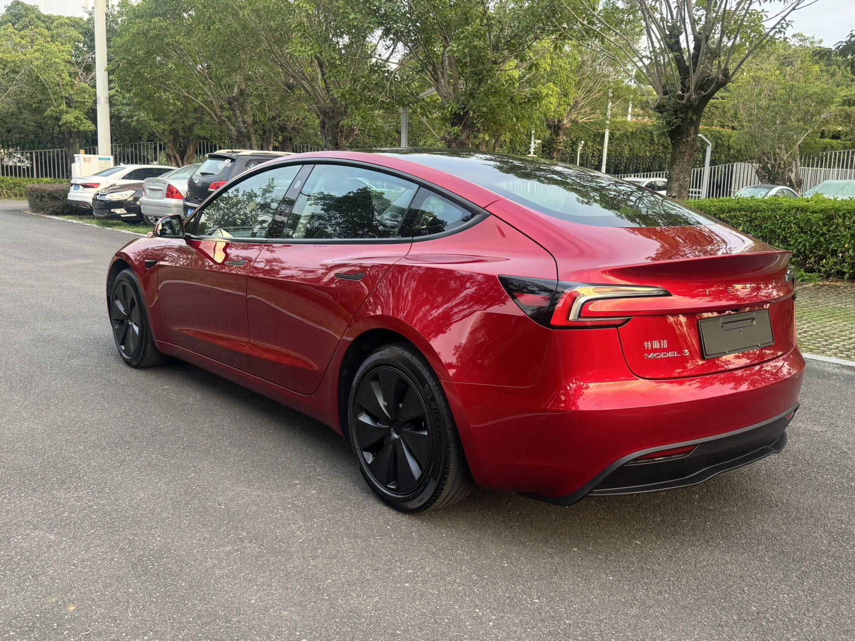 Tesla Model 3 2024 #8 Tesla Model 3 2024 car image #8